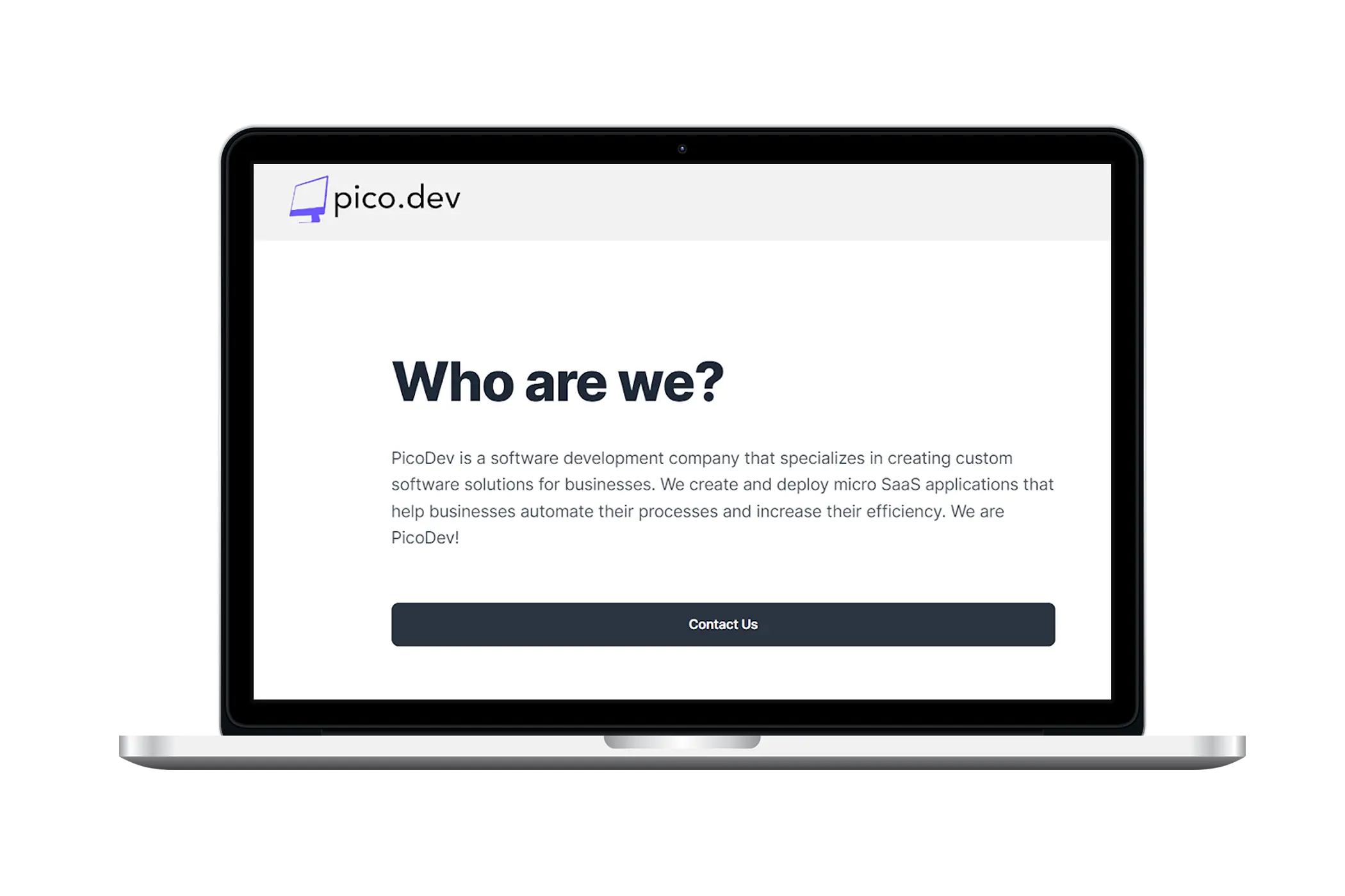 PicoDev project preview - Backend architecture and API development